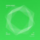 Dizzko Bizkit - Salut (Original Mix)