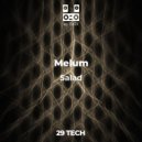 Melum - Salad (Original Mix)