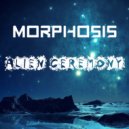 Morphosis - Fire And Light (Original Mix)