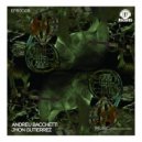Andreu Bacchetti, Jhon Gutierrez - Music