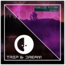 Fabrizio Piccone - Echoes (Original Mix)