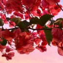 Papa Soul - Karmic Pull (Original Mix)