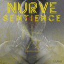 Nurve - Sentience (Original Mix)