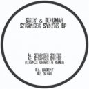 Swoy & Bolumar - Stranger Synths (Original Mix)