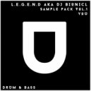 L.E.G.E.N.D. aka DJ Bionicl - Synth - Imba