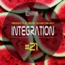 DJ Egorsky (Electronic Sound) - Integration#21(2020June) ()