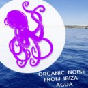 Organic Noise From Ibiza - Arroz Con Vegetales