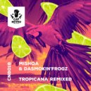 MISHQA, DaSmokin\'Frogz - Tropicana (RawBoosta Remix)