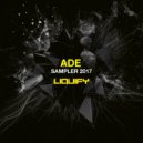 Atze Ton - Experience