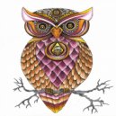 Nocturnal - Anti Structure