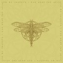 Sex Of Insects - I Can Hear The Acid