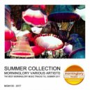 Jelly For The Babies - Ethnica (Pole Folder Remix)