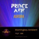 Prince AfIf - Aurora (Original Mix)