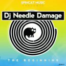 DJ Needle Damage - In Or Out