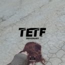 TETF feat Sasha Ogletree - Imaginary
