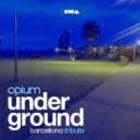 Tecca & Frank Hurman - The Mountain (Deep Version)