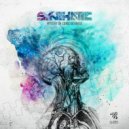 Synthatic - Mystery of Consciousness