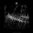 Ricardo Garduno - Why