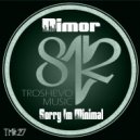 Dimor - Sorry I'm Minimal