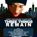 Linka Featuring Cyanation - Three Things Remain