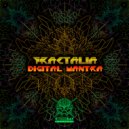 Fractalia - Ohm Resonator