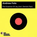 Andrew Felo - The Essence Of Joy