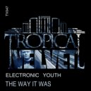 Electronic Youth - The Way It Was
