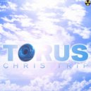 Chris Trip - Torus (Original Mix)