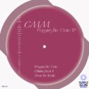 CMM - Thinking About It