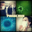 R3 Music - Pandemix ()