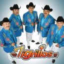 Los Tigrillos - Mueve Tu Cintura ()