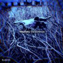 Vexillary - The Geneticist ()
