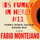Fabio Montejano - Its Funky in here! #11 Funky-Disco-Jackin House