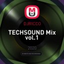 DJRICCO - TECHSOUND Partyvol.1 ()