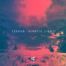 TESSUB - Elastic Light (Original Mix)