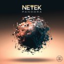 Netek - Electric Control