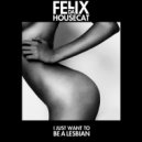 Felix Da Housecat & Romina Cohn - I Just Want to Be a Lesbian (feat. Romina Cohn) (Thee Original Raw Cut)