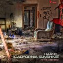 Har El - Turnin\' Point (Original Mix)