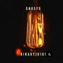 GNO5Y5 - Binary10101 (Original Mix)