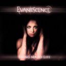 Evanesence - Bring Me To Life