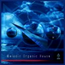 UUSVAN - Melodic Organic House (D&M Mix 2k20)