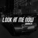 Brennan Savage - Look At Me Now (Gabidulin Remix)