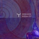 BRAGKEN - Follow Me To Voices