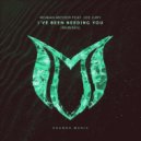 Roman Messer feat. Joe Jury - I've Been Needing You
