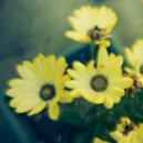 Ffod - Acid Rain (Original Mix)