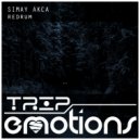 Simay Akca - Butterfly Effect