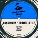 Concinnity - Breezy