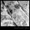 BPMoore  - Through the Trees