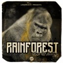 Rainforest - Pragmatism (Original Mix)