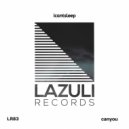 icantsleep - cantslowdown